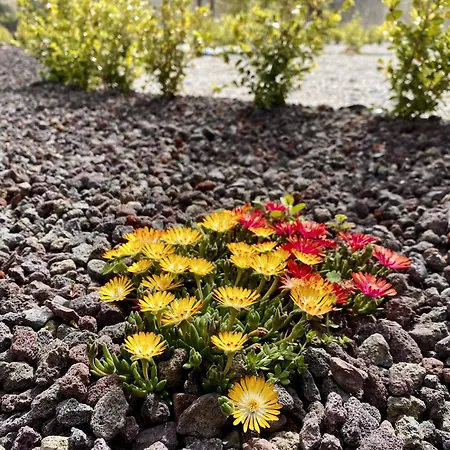 Villa Belvedere Di Altavilla With Pool And Near The Sea