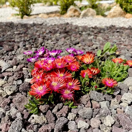 Belvedere Di Altavilla With Pool And Near The Sea